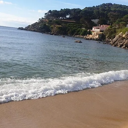 Con Jardin A 11 Metros De La Playa. Se. *
